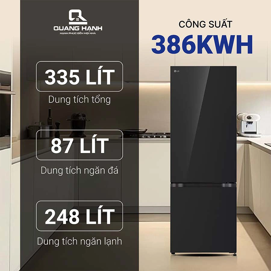 Tủ lạnh LG Inverter 335 lít LBB33BLGA  QH246008 3
